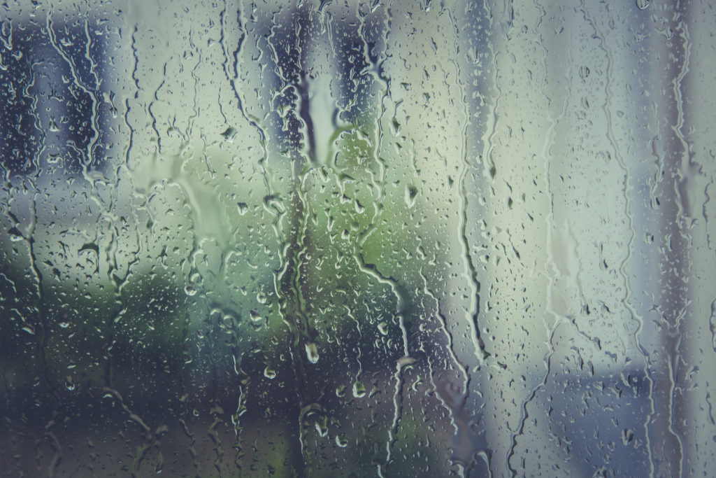 raindrops on a window