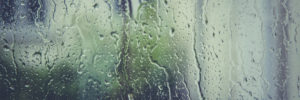 raindrops on a window