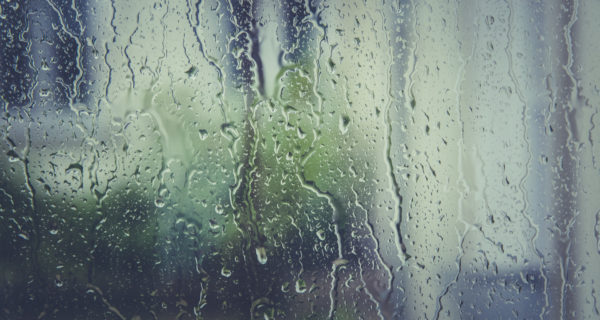raindrops on a window