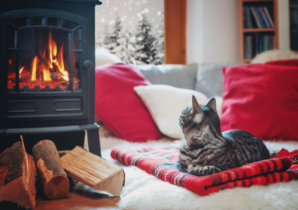 cat relaxing beside fireplace watching snowflakes outside the window/cat beside the fire 02