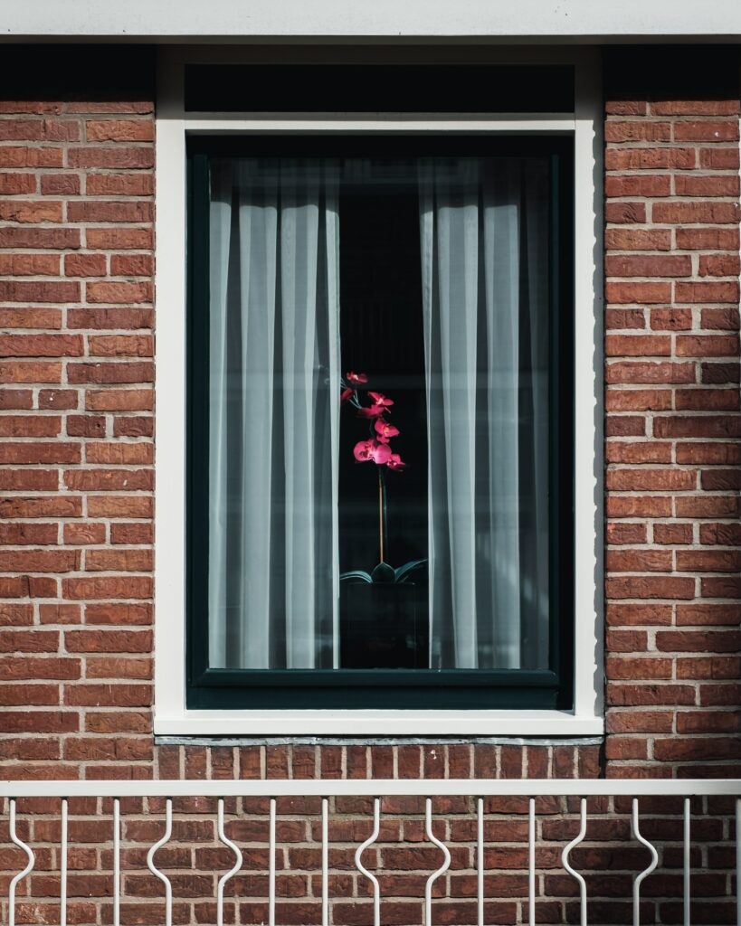 modern energy efficient window of a modern home with a pink orchid